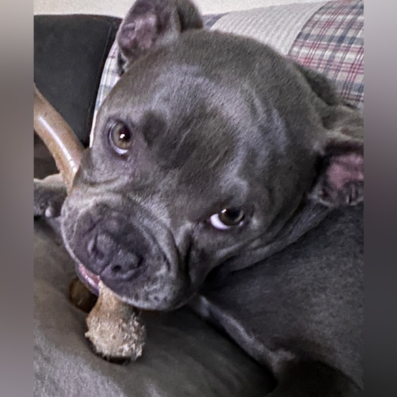 Meet your Posher, Debi - Picture 4 of 12